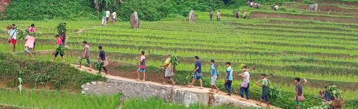Growing their own community forest to save the climate