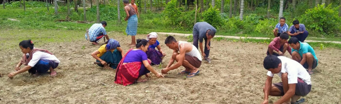 Farmers stand together to transform livelihood