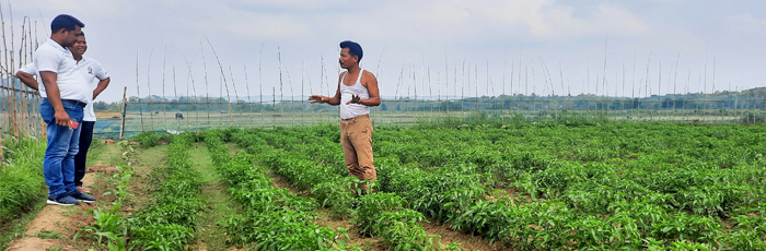 A budding interest in agriculture offered higher yield and greater nutrition