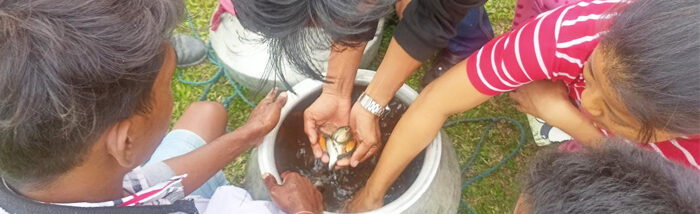 Farmers putting their faith in pisciculture