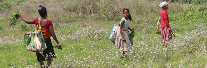 FARM program empowers impoverished families to create a sustainable change