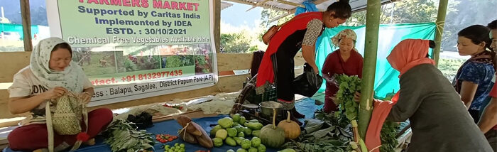 Building bridges between smallholder farmers and market