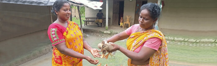 Sweeping the benefits of nature: A story of a broom seller