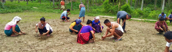 Collective Farming: Transforming communities towards food security