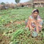 Protecting rights of the crisis affected populations in North East (PROCAP)