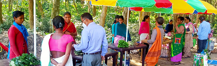 Farmers could solve the food wastage issue with demand and supply