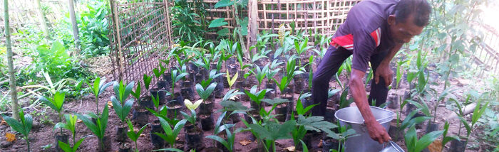 Small farmers moving towards cash crops to secure their future
