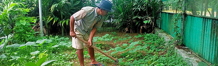 How can the Tripura Farmer be more self-sufficient in food?