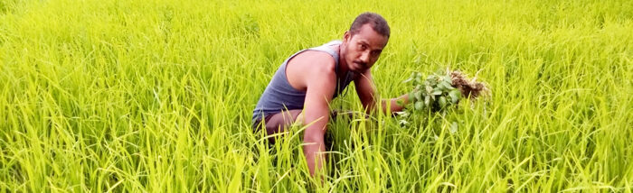 Creating sustainable livelihood options for returned migrants