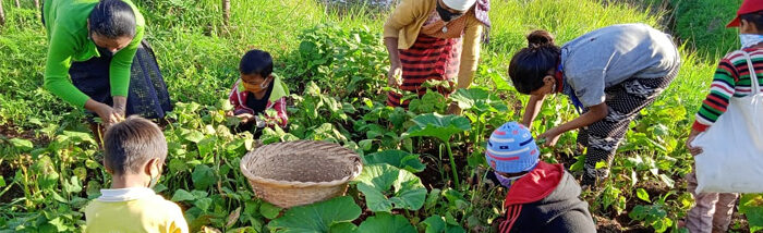 School garden nourishing the children and their families