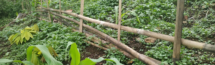 Arresting soil erosion through climate friendly natural practices