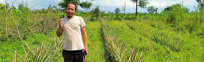 Making money and ensuring food security through their backyard patchy land