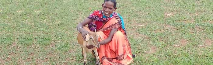 An attempt to restore the livelihood during COVID