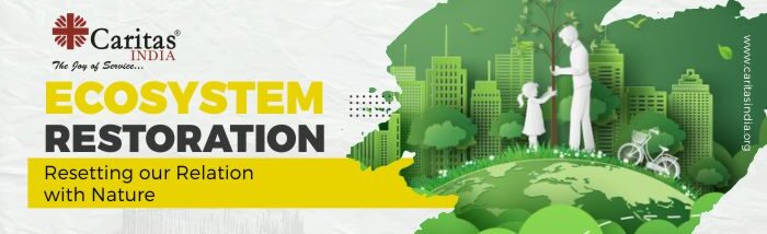 Ecosystem Restoration: a call for redefining the interaction
