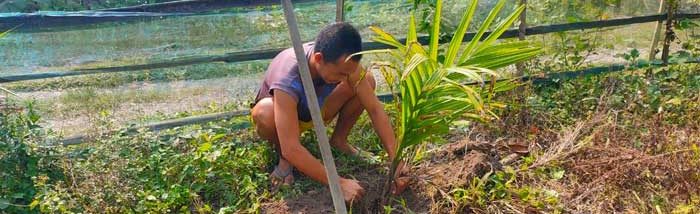 Smallholder farmer diversifying income through livestock rearing
