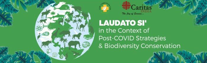 Laudato Si Week: Caritas India and CCBI Commission for Ecology effort for biodiversity conservation