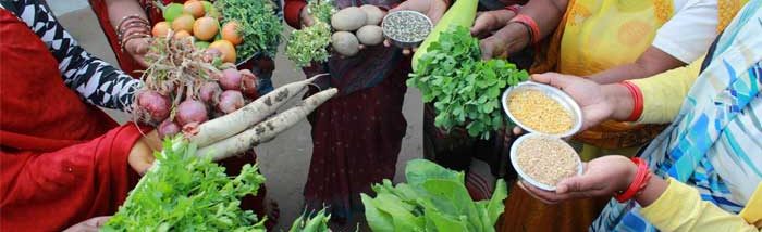 Caritas India Co-hosted Regional Dialogue on United Nation’s Food Systems Summit 2021