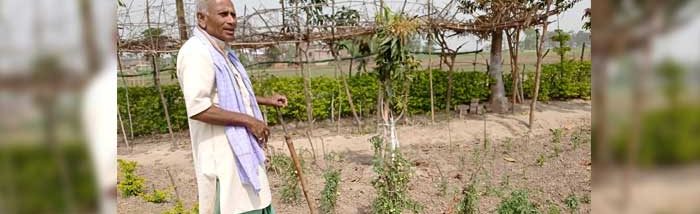 Bihar Farmer crafts low-cost tillage tool, helps 450 farmers