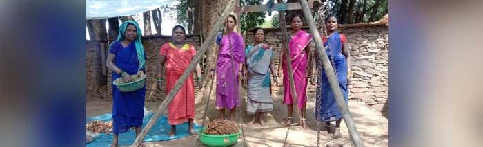 Tribal Entrepreneurs: Women of Chhattisgarh share the fruit of shared labour