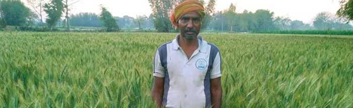 Multiple Cropping with scientific methods can create a positive impact on yield