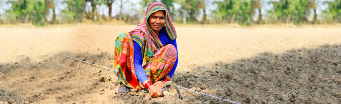 Promoting Gender-Inclusive Future through SAFBIN