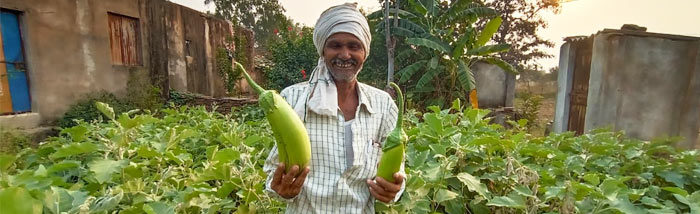 Role of Small Farm Diversification in Improving Household Food Security