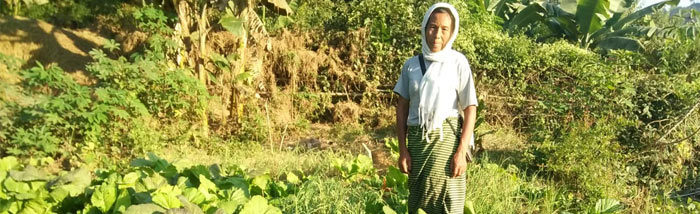 Rural youth are excited about kitchen gardening