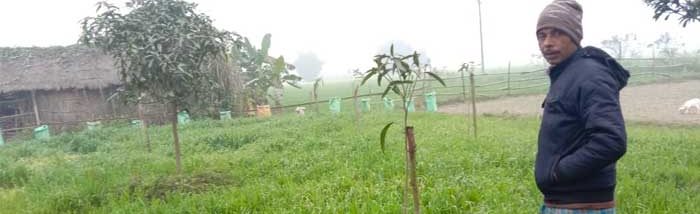 Adaptive measures through Agroforestry initiatives by small farmers
