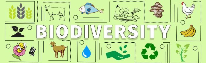 Biodiversity is Key to Food Security & Sustainability of Small Farms
