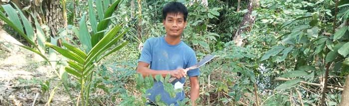 Back to the field: Youth opting agriculture as a profession