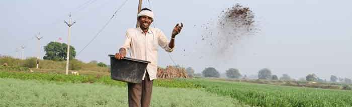 Transforming to Organic Farming improved Farmer’s economic status