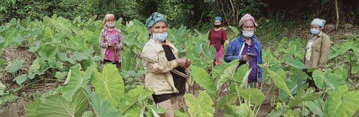 Smallholders’ Small Initiative bears Fruits