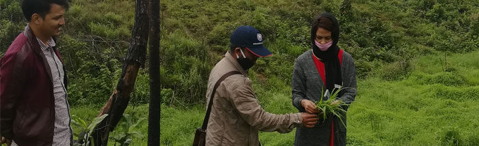 Women farmers generate income from wild edibles