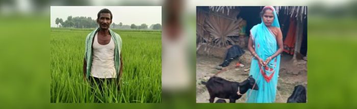 West Champaran farmers reap benefits of farm trenches during dry spell