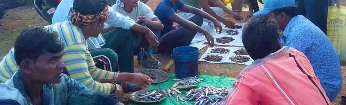 How a collective of Tribal’s are increasing their income through managing village natural resources during the pandemic