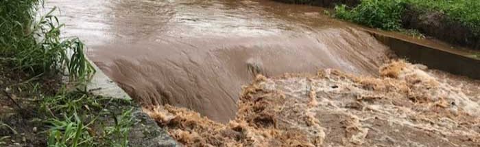 Capturing rain for water-scarce Pudusserry Gram Panchayat