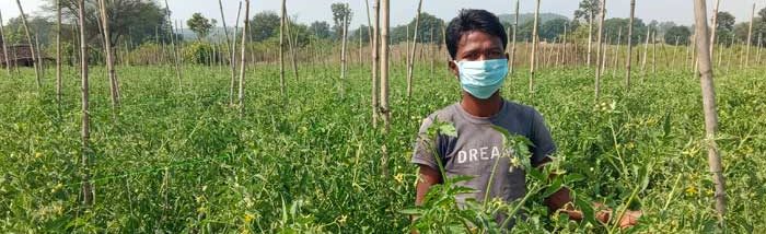 Modern technology helps Chhattisgarh farmer increase productivity, saves water and input cost
