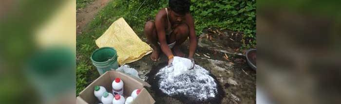 Trichoderma: An invisible Partner for visible Impact on a small farm