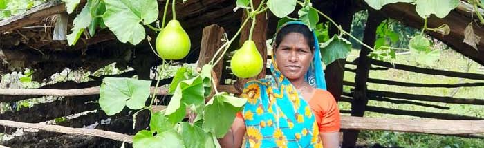 Initiative of one tribal women motivates whole community to take up kitchen gardening