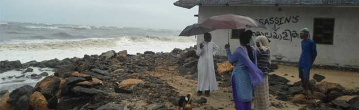 Webinar on Coastal Afforestation for Kerala Coast