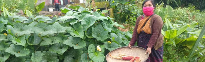 Seed Leaders amplifying indigenous seed for food security