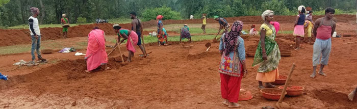 Smallholders restored their farms through convergence