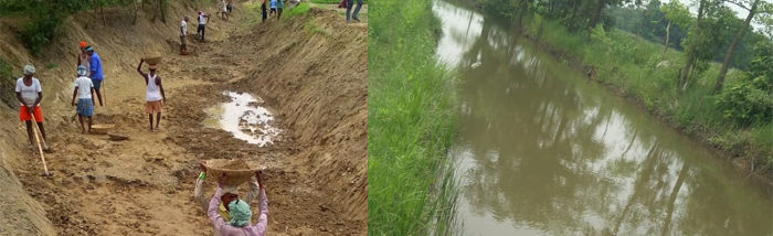 Ecosystem restoration through convergence