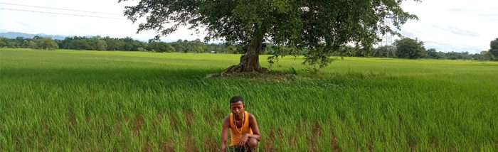 Indigenous practices and systems: An Experience from the Adivasis of Assam