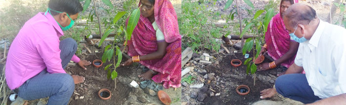 Olla: The Eco-friendly Pots for Plant Irrigation