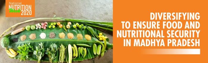 Diversifying small farms to ensure food and nutritional security in Madhya Pradesh