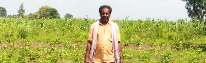 Venturing of organic farming doubled the farm income