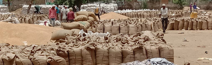 Linking Small Farms to Markets: Reducing Transaction Costs and Enhancing Bargaining Power