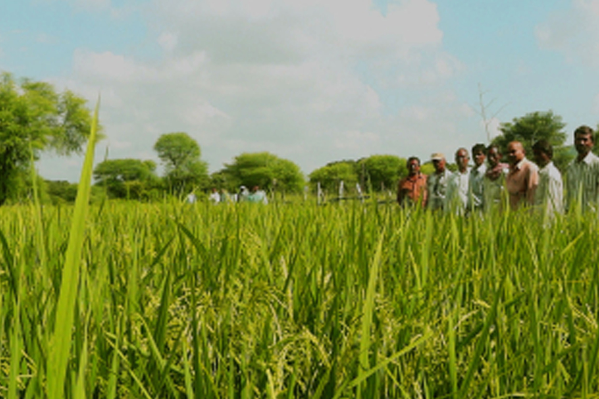 Global Program India