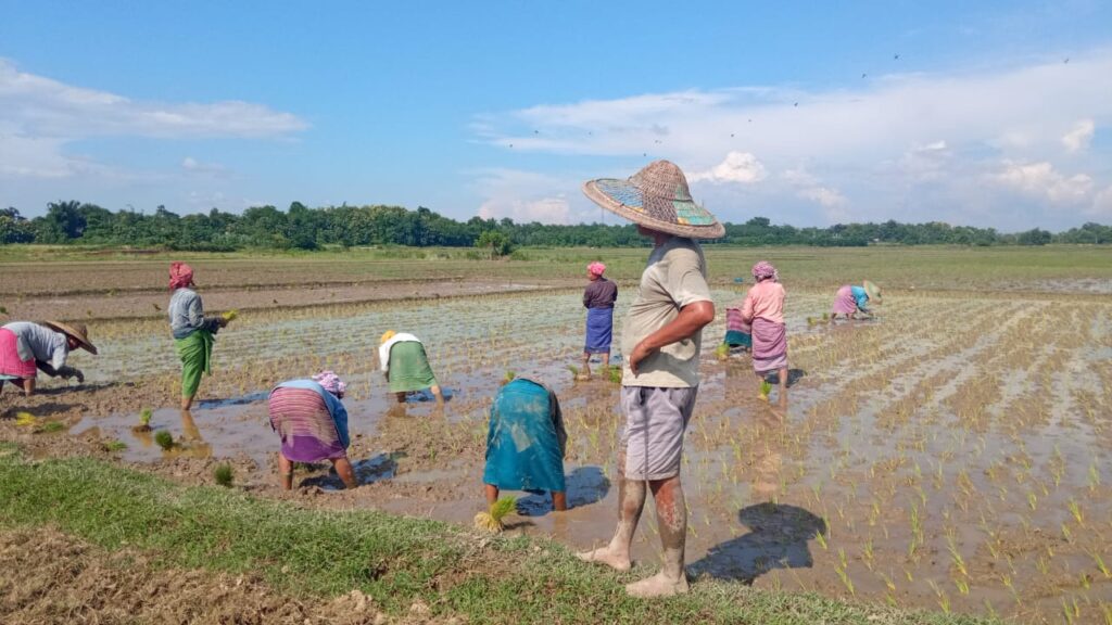 Climate change resilience